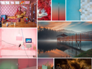 The World Photography Organisation: prví víťazi