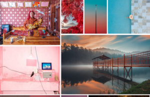 The World Photography Organisation: prví víťazi