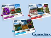 LET THE MUSIC PLAY! Guandong Trio